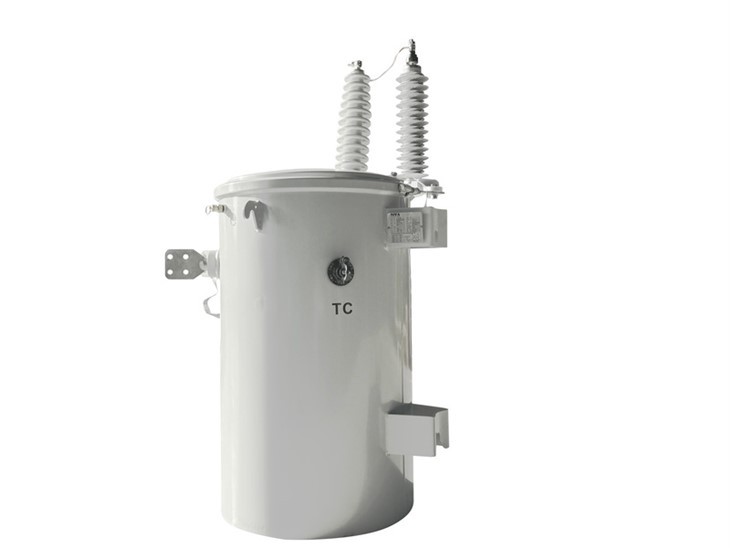 100 KVA Telephone Pole Transformer-34.5/0.24 KV | USA 2023 factory